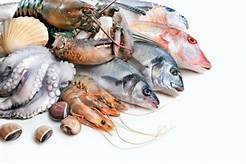 Fish & Seafood - local & sustainable