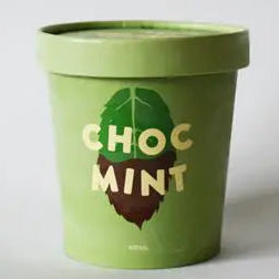 Billy Van Creamy Organic Choc Mint Ice Cream 480ml