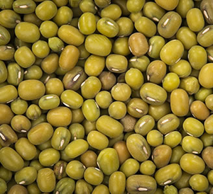 Organic Mung Beans 5kg